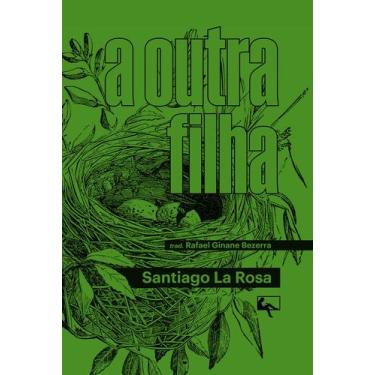 Imagem de Livro - A outra filha
