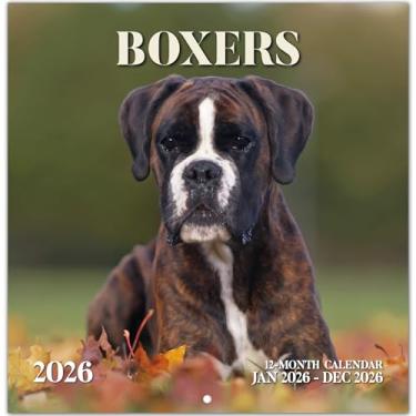 Imagem de Calendário 2026, calendário de parede mensal Boxers Dogs 2026 funciona de novembro de 2025 a dezembro de 2026, calendário de parede suspenso, aberto de 29,5 x 61 cm, layout de página inteira para