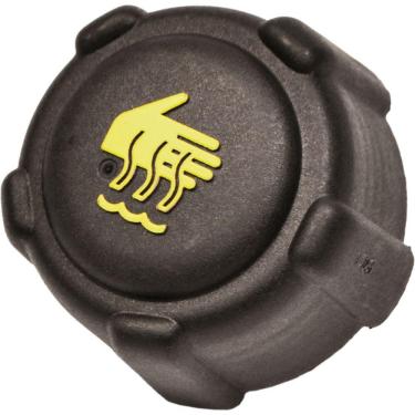 Imagem de Tampa Arrefecimento Renault Master Após 13