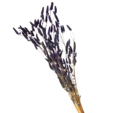 Imagem de Buque de Flor seca  Desidratada Rabo de Coelho Gato - Pratico Desidrat
