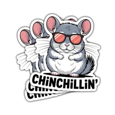 Imagem de 3 peças de adesivos de chinchilina para óculos de sol de chinchila, decalque de vinil de animal engraçado para proprietários de chinchilas, crianças, adolescentes, adultos, amantes de animais exóticos