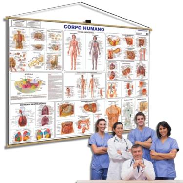 Imagem de Banner Anatomia Corpo Humano Medicina Estudo Banner Moldura