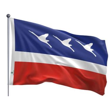 Imagem de Bandeira do Município de Estância Turística de Guaratinguetá Dupla Fac