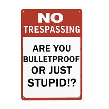 Imagem de EMOHAT Placa de metal vintage de alumínio No Trespassing Are You Bulletproof Or Just Stupid Warning Placa de alumínio para decoração de parede de café em casa 20 x 30 cm