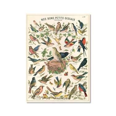 Imagem de Pôster vintage de pássaros franceses ornitologia impressão de pássaros presentes para pássaros educação arte de parede pintura em tela sala de estar decoração de casa (SKU1,50.8x71.1 cm = (50x70cm