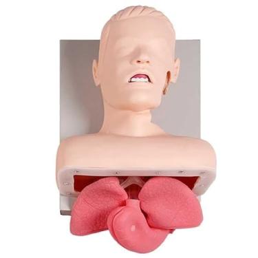 Imagem de Modelo de simulador de treinamento, treinador de gerenciamento de boca e nariz, modelo de treinamento de manequim de boca e nariz para adultos (
