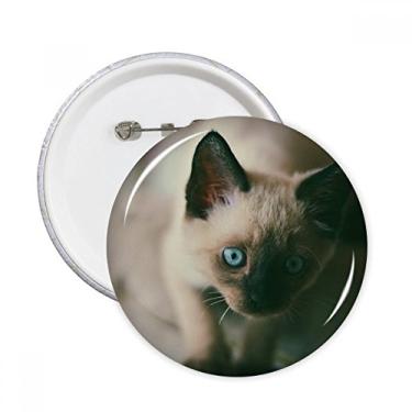 Imagem de Animal olho azul gatinho fotografia cinza pinos redondos crachá botão emblema acessório decoração 5 peças