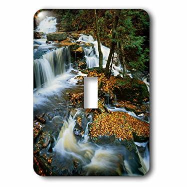 Imagem de 3dRose lsp_189701_1 Usa, Pensilvânia, Ricketts Glen Sp, Kitchen Creek, Interruptor de alavanca de cachoeira