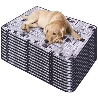 Imagem de 12 Caminhas para Cães e Gatos Dobrável 300 Lavagens 100x70 Jornal 3 Ca