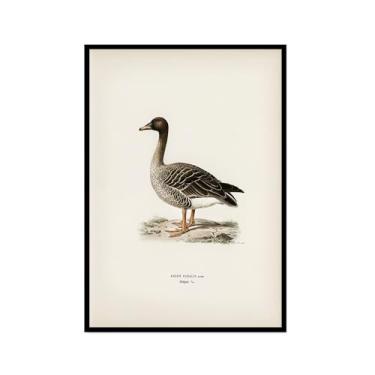 Imagem de Impressão de pato vintage rústico Pato Pato Pato Lago pôster de arte de parede retrô natureza pintura em tela imagens decoração de quarto de fazenda (SKU12,8x30,5 cm = (20 x 30 cm), moldura preta)