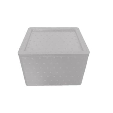 Imagem de Caixa Térmica EPP de Alto Desempenho/Resistência TOTES J02 Branca 9,9 L