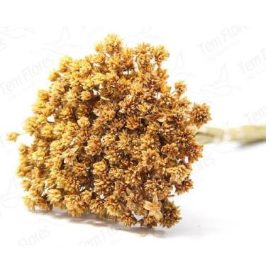 Imagem de Espeta Nariz Desidratado - Pense Flores, Natural