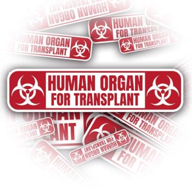 Imagem de (3 peças) Adesivo de órgão humano para transplante para crianças, adesivos de garrafa de água, decalque de vinil impermeável, adesivos de skate, adesivo de livro (10 cm)