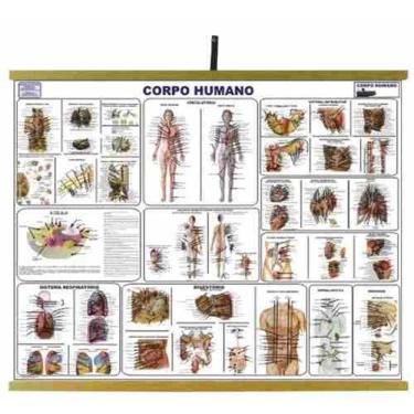 Imagem de Mapas Educativos - Corpo Humano 900x1200mm