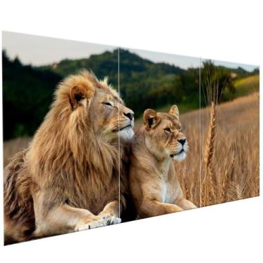 Imagem de Quadros Decorativos Casal Leão Leoa Sala Escritório Quarto Ambiente Mo