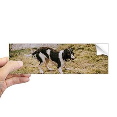 Imagem de DIYthinker Adesivo retangular com imagem de animal preto e branco para janela de notebook