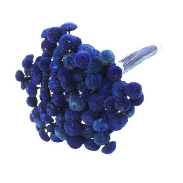 Imagem de Planta Seca Botão Branco Desidratado Roxo - Pense Flores