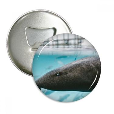 Imagem de Marine Organism Abridor de garrafas de animal tubarão oceano ímã de geladeira emblema multifuncional