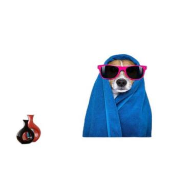 Imagem de Papel De Parede Animal Cão Petshop Banho Tosa 3,5M Anm387 - Você Decor