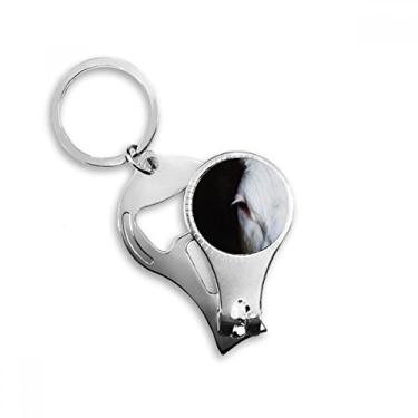 Imagem de Alicate de unhas para fotografia animal de organismo terrestre chaveiro abridor de garrafa cortador