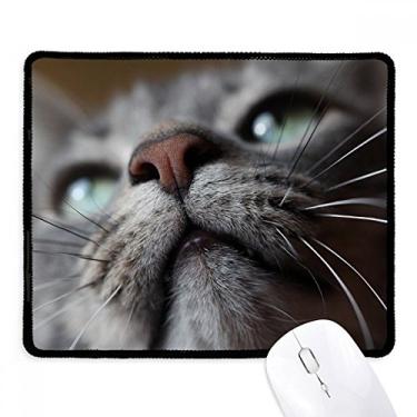 Imagem de Mousepad com fotografia de gato com borda costurada para jogos