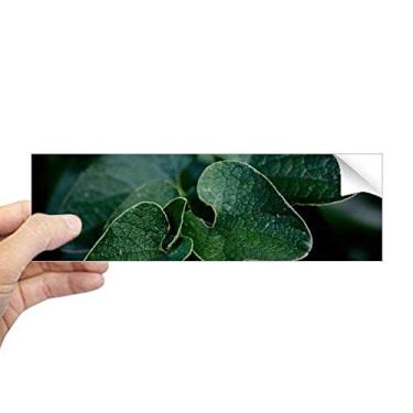 Imagem de DIYthinker Adesivo de para-choque, retangular, natureza de folhas escuras, decalque de janela