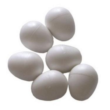 Imagem de Ovo Indez Branco - Para Red Rumped e Rosela - N6 - Unidade - Animalpla