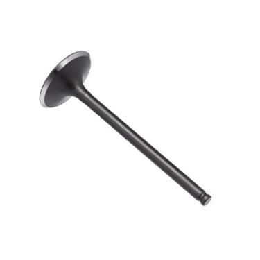 Imagem de Valvula Admissao Kmp Cg 150 04/15 F016