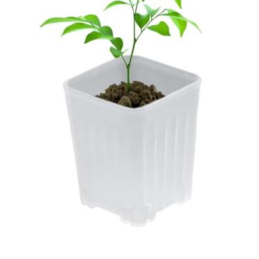 Imagem de Vasos para Viveiro,Vasos para Flores | 10 Unidades Suporte para Mudas Pequeno com Furos de Drenagem para Suculentas Estacas Flores Decoração em Mesas Sala Varanda Jardim Casa