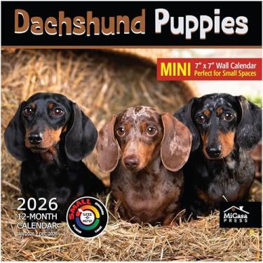 Imagem de MICASA Dachshund Puppies 2026 Mini calendário de parede 12 meses | 17,8 cm x 35,5 cm aberto | Papel grosso e resistente | Presente | Calendário 2026