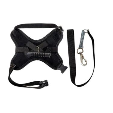 Imagem de Coleira e Guia para cachorro nome personalizado Peitoral pequeno médio grande porte(Preto,G)