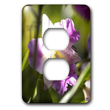 Imagem de 3dRose lsp_10367_6 Orchid is A Colorful Garden Flower in which is a Spring Tropical Plant And Bouquet When Blossom 2 Plug Outlet Cover