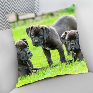 Imagem de Almofada Decorativa Cheia c/ Zíper Dog Pet Cachorro Cão - Deluzz, Buld