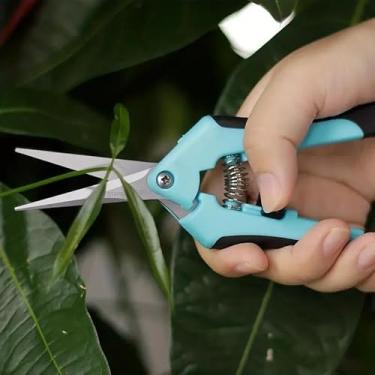 Imagem de 1 tesoura de poda, tesoura de corte de jardim, tesoura de poda manual de jardinagem, tesoura de poda de bonsai de precisão revestida de titânio, cortadores de flores convenientes e eficientes (azul