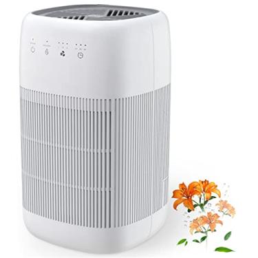 Imagem de Afloia Purificador de Ar e Desumidificador em 1, Purificador de Ar com Filtro Eficiente, Desumidificador Pequeno Combinado com Filtro de Ar, Remove Odores de Animais de Estimação, Poeira, Fumaça Para