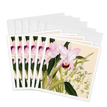 Imagem de 3dRose Orquídeas Cattleya rosa claro e orquídea de oncídio amarelo claro - Cartões comemorativos, 15 x 15 cm, conjunto de 6 (gc_175425_1)
