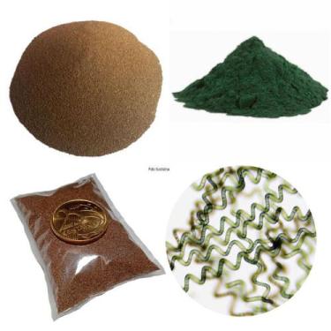 Imagem de Super Kit para Reprodução de Artêmia Salina - Hanimal