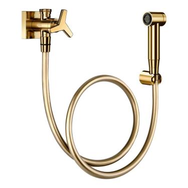 Imagem de Ducha Higiênica Docol City 876943 com Registro e Derivação Ouro Polido