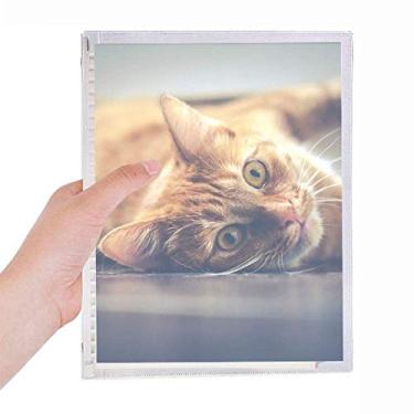 Imagem de Caderno com foto de gato amarelo animal, folha solta, diário recarregável, papelaria