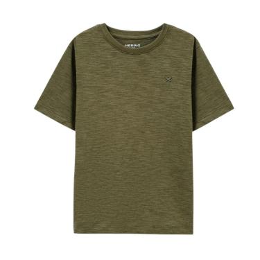 Imagem de Camiseta Infantil Hering Verde-Masculino
