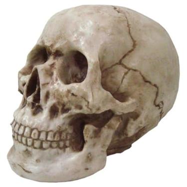 Imagem de Cranio Caveira Grande Tamanho Real Em Resina Decorativo (DOURADO)