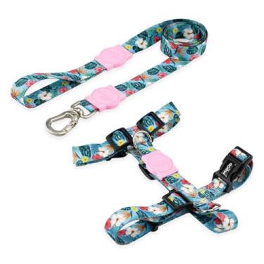 Imagem de Mood Pet Coleira Peitoral Para Cachorro Cães Modelo H Tradicional Tamanho Porte Grande Médio Pequeno (PP, Sunny)