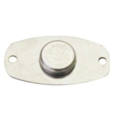 Imagem de Ibutton Para Vigia Bastão Ronda Henry Ou Topdata 12 Unid - 110V/220V - Prateado