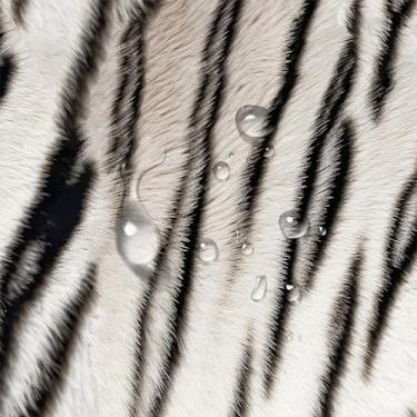 Imagem de Papel de parede removível de textura animal espesso para gaveta armário de vinil decoração de filme decorativo armários e bancada de cozinha 44 x 297 cm