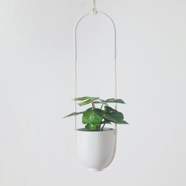 Imagem de ABETREE Vaso de pendurar boho para plantas internas e externas, moderno, pendurar na parede e no teto, suporte de cesta, cabide para videiras, suculentas, samambaias, decoração de quarto (branco)