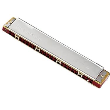 Imagem de Gaita C polifônica profissional de 24 furos para prática e desempenho profissional (prata)