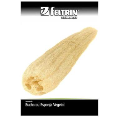 Imagem de Sementes de Esponja Vegetal (Bucha Bob) FELTRIN