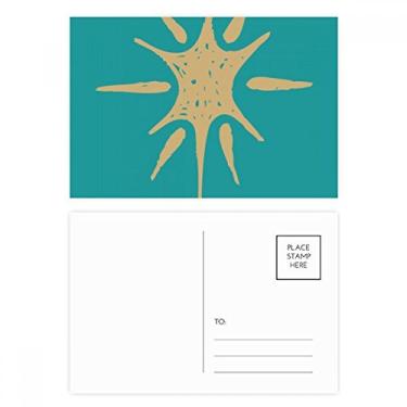 Imagem de Conjunto de cartões postais de aniversário com estampa de plantas abstratas Sunlight