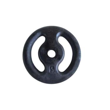 Imagem de Anilha Ferro Fundido Pintada Fitness Academia 5,0 Kg