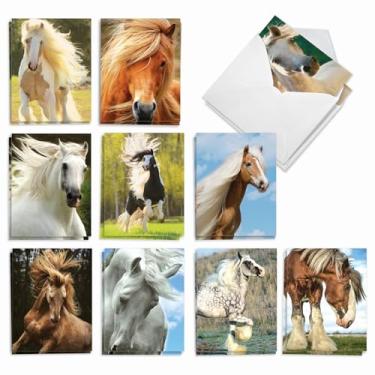 Imagem de The Best Card Company - 20 cartões de notas em branco com envelopes (10 x 5,12 polegadas) - Variedade de cartões de animais para todas as ocasiões (10 desenhos, 2 cada) - Cavalos | Magníficas crinas